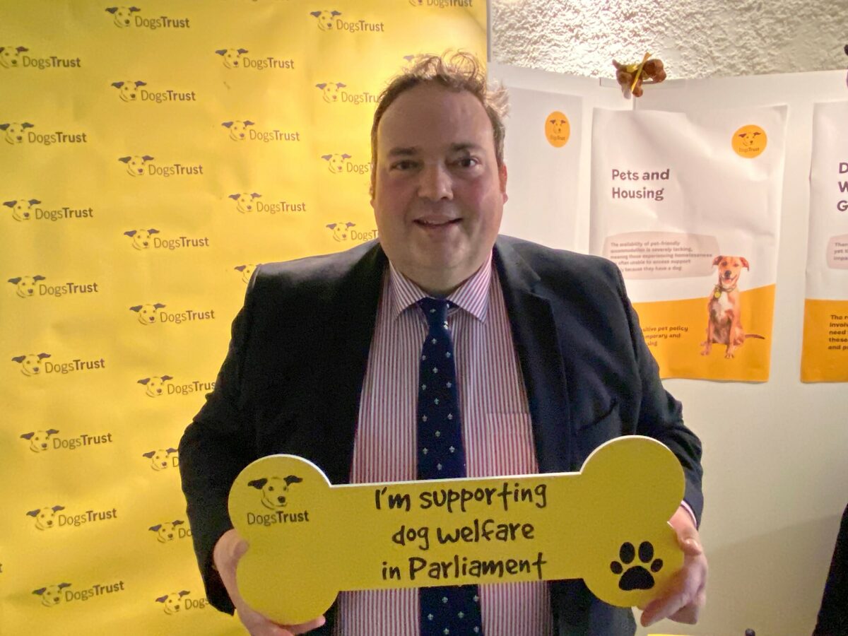 Highlands and Islands MSP welcomes proposed new dog theft laws