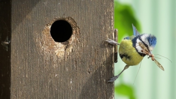 Call for communities in Scotland to apply for environmental grants 