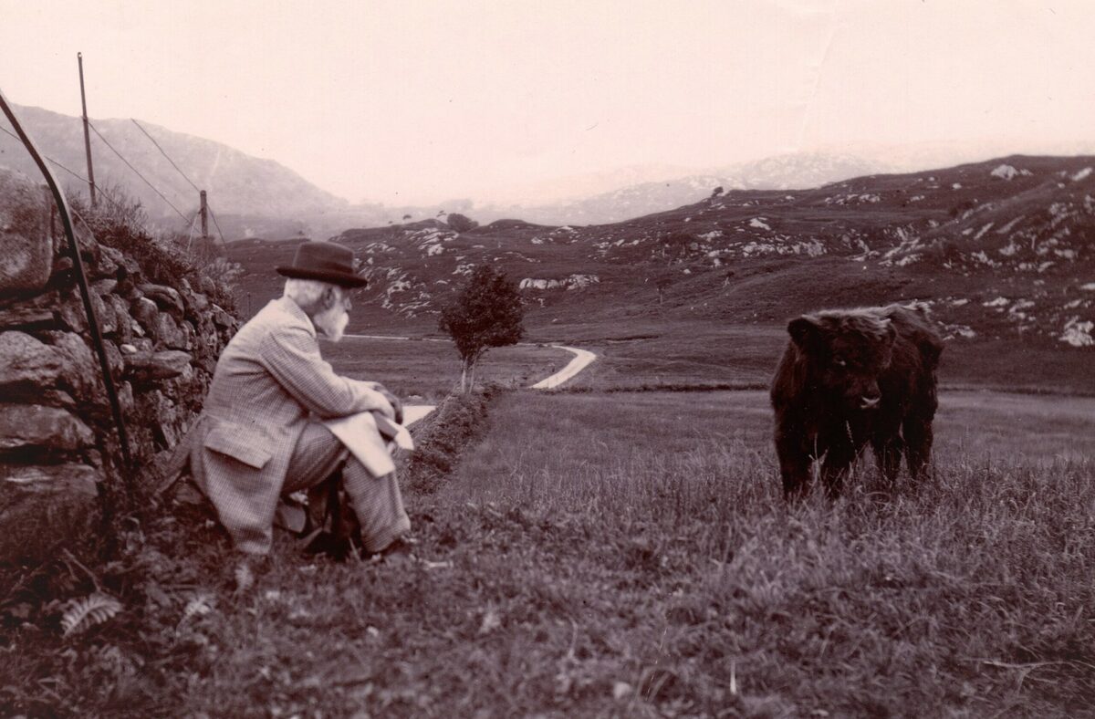 A far travelled Argyll heifer