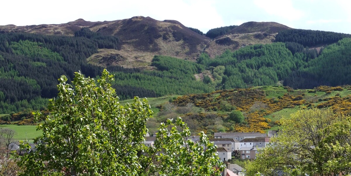 Have your say on the future of Beinn Ghuilean forest