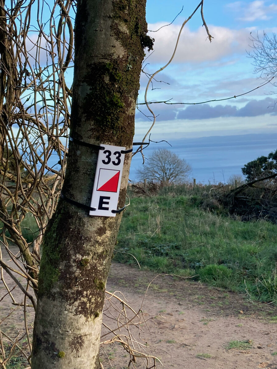 Orienteering course planned for Whiting Bay