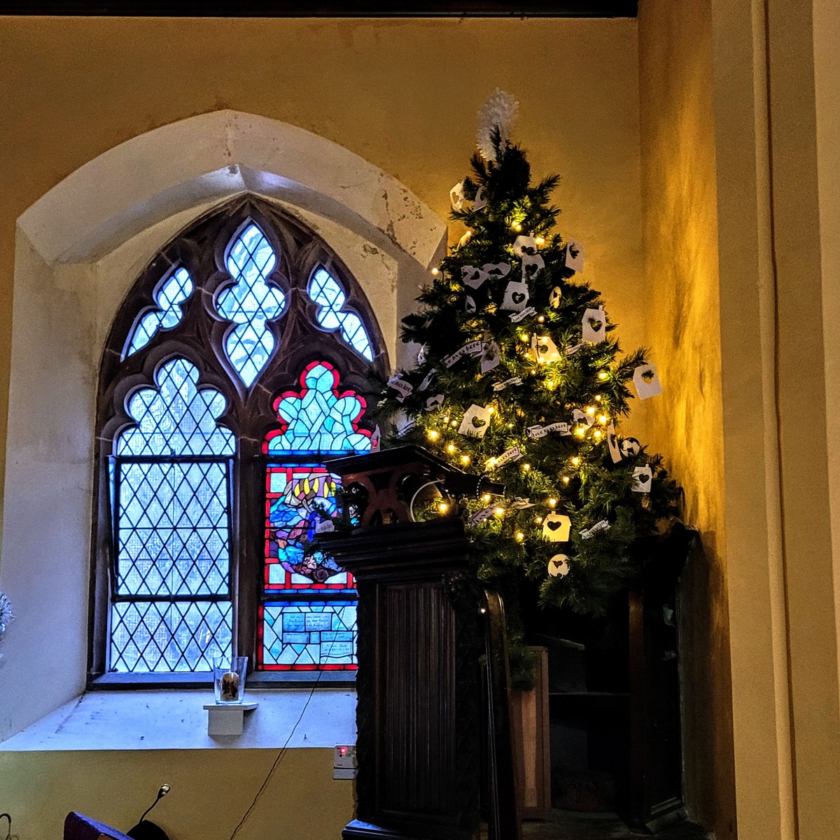 Christchurch's Christmas Tree Festival