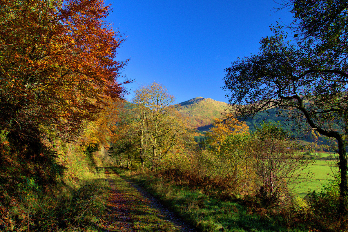 Cowal walking festival on the comeback trail