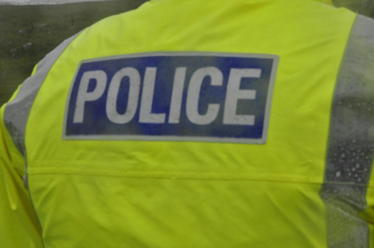 Police renew appeal for witnesses after woman hit by van