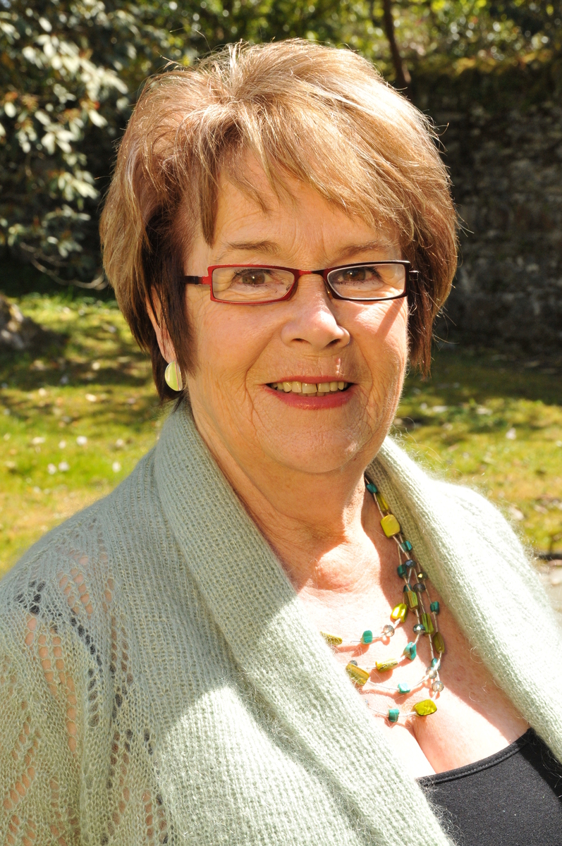 Councillor's 'bigger taxis' plea