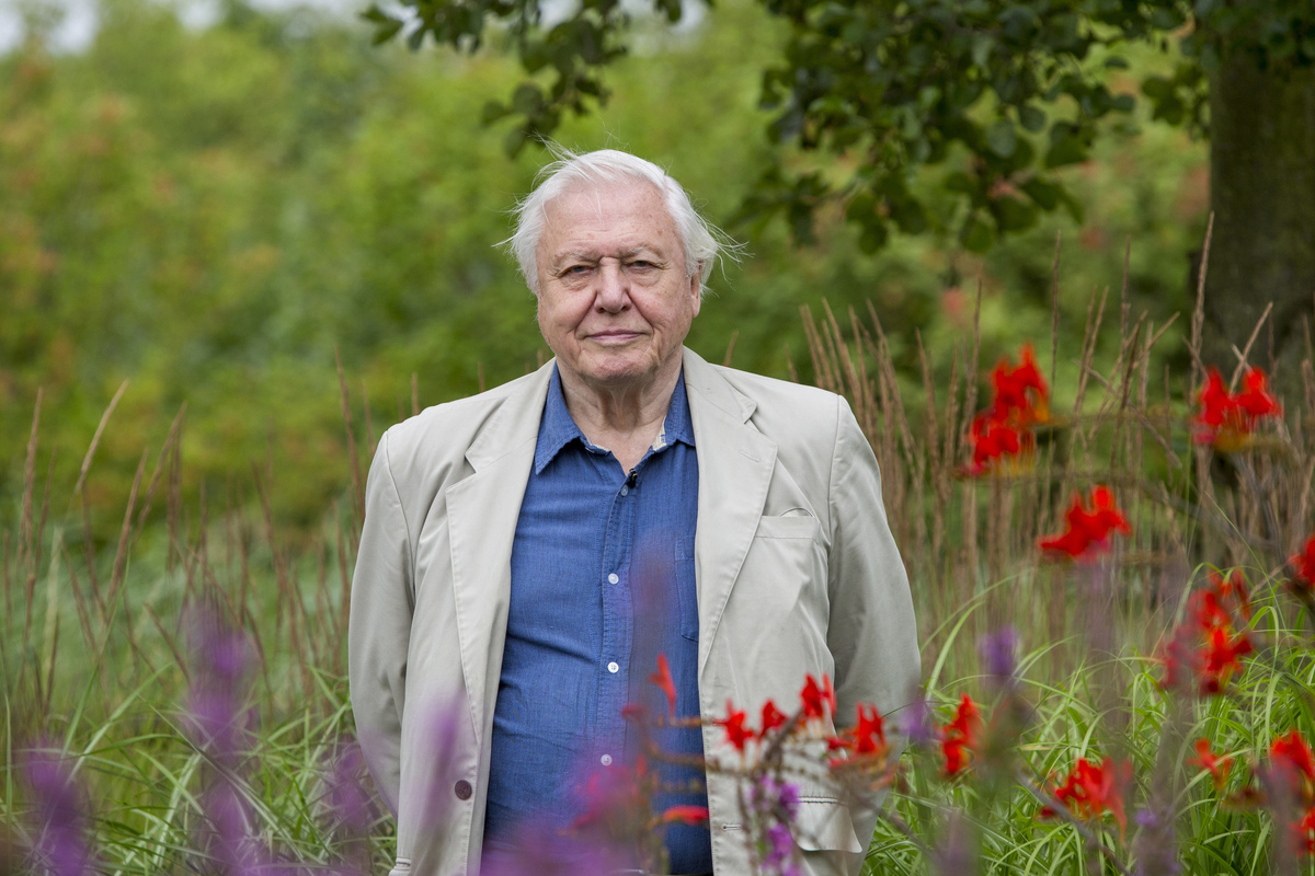 Attenborough urges Scots in Highlands to count butterflies