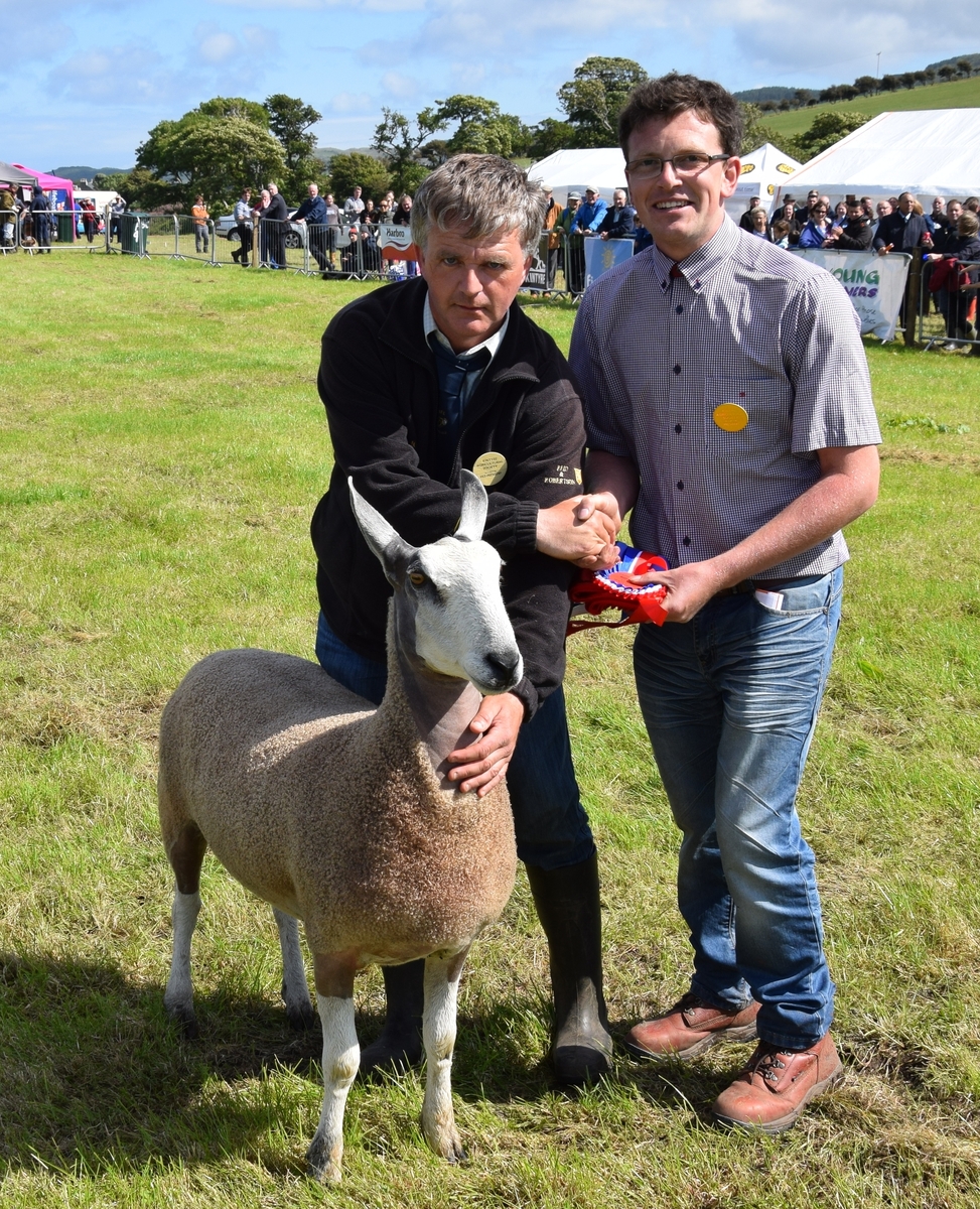 Highland winner takes Kintyre Show champion honours