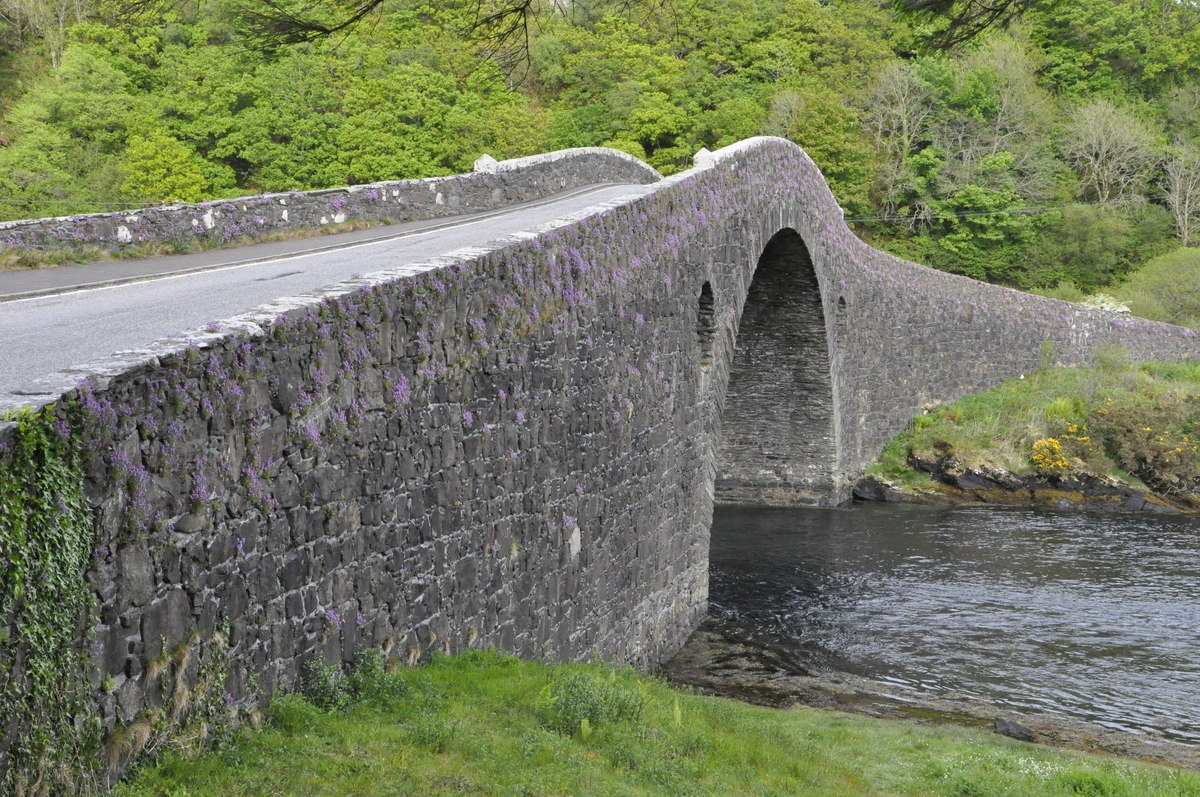 Sewer spills in Seil Sound