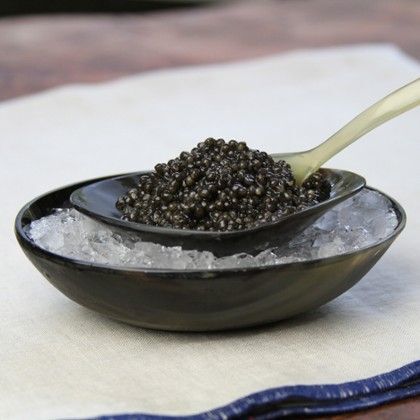 Green light for Scotland's first caviar farm