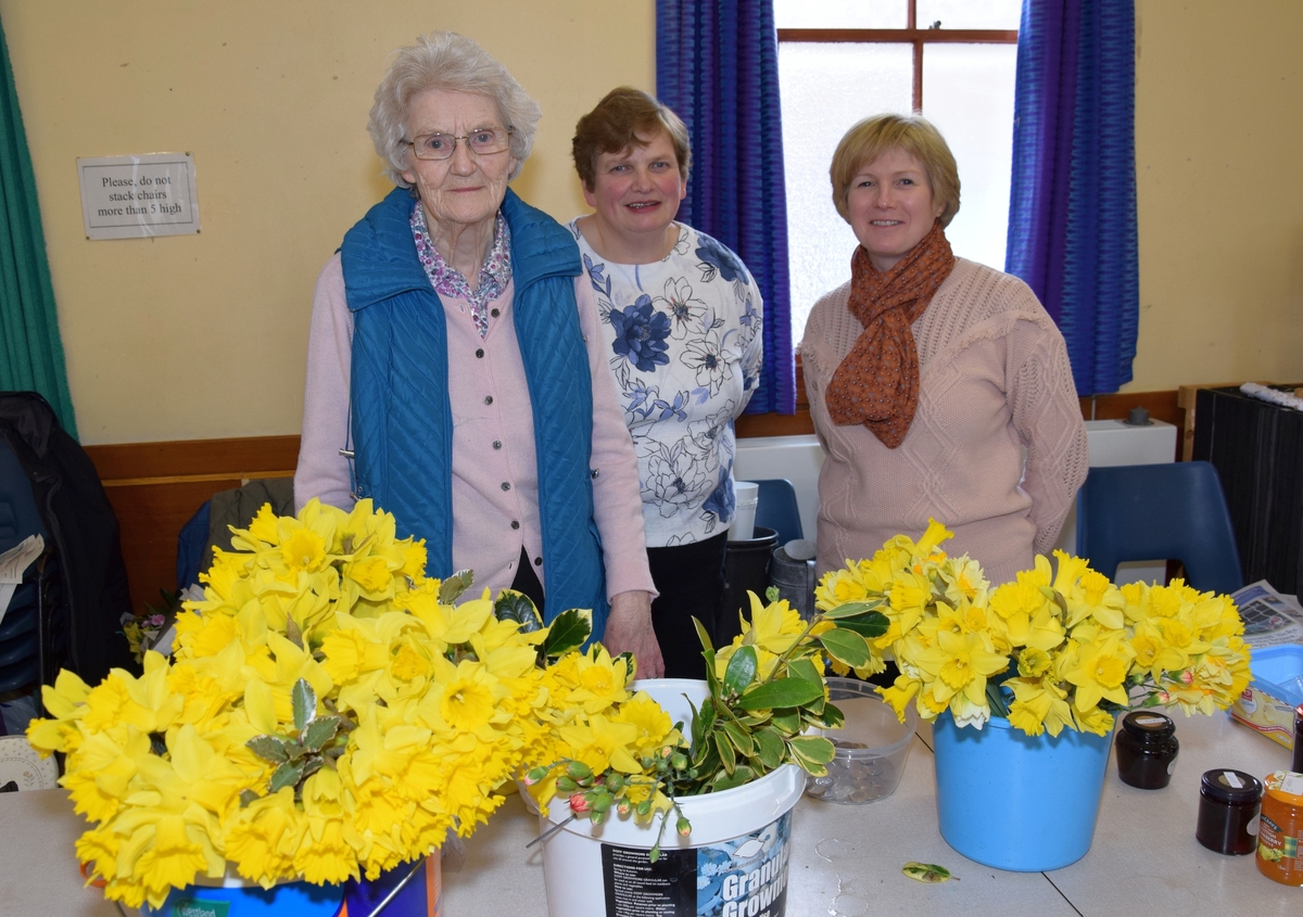 Guild's blooming buckets of daffodils