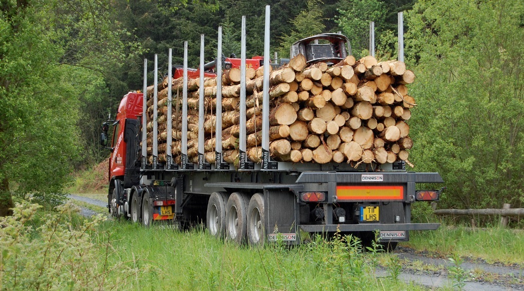 Conference assesses future-proofing of timber transport