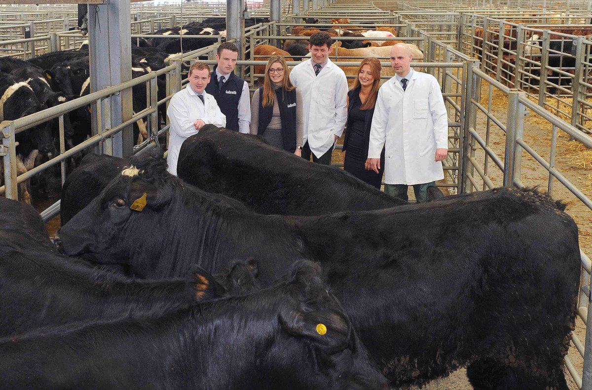 Next generation lined up for bull sales