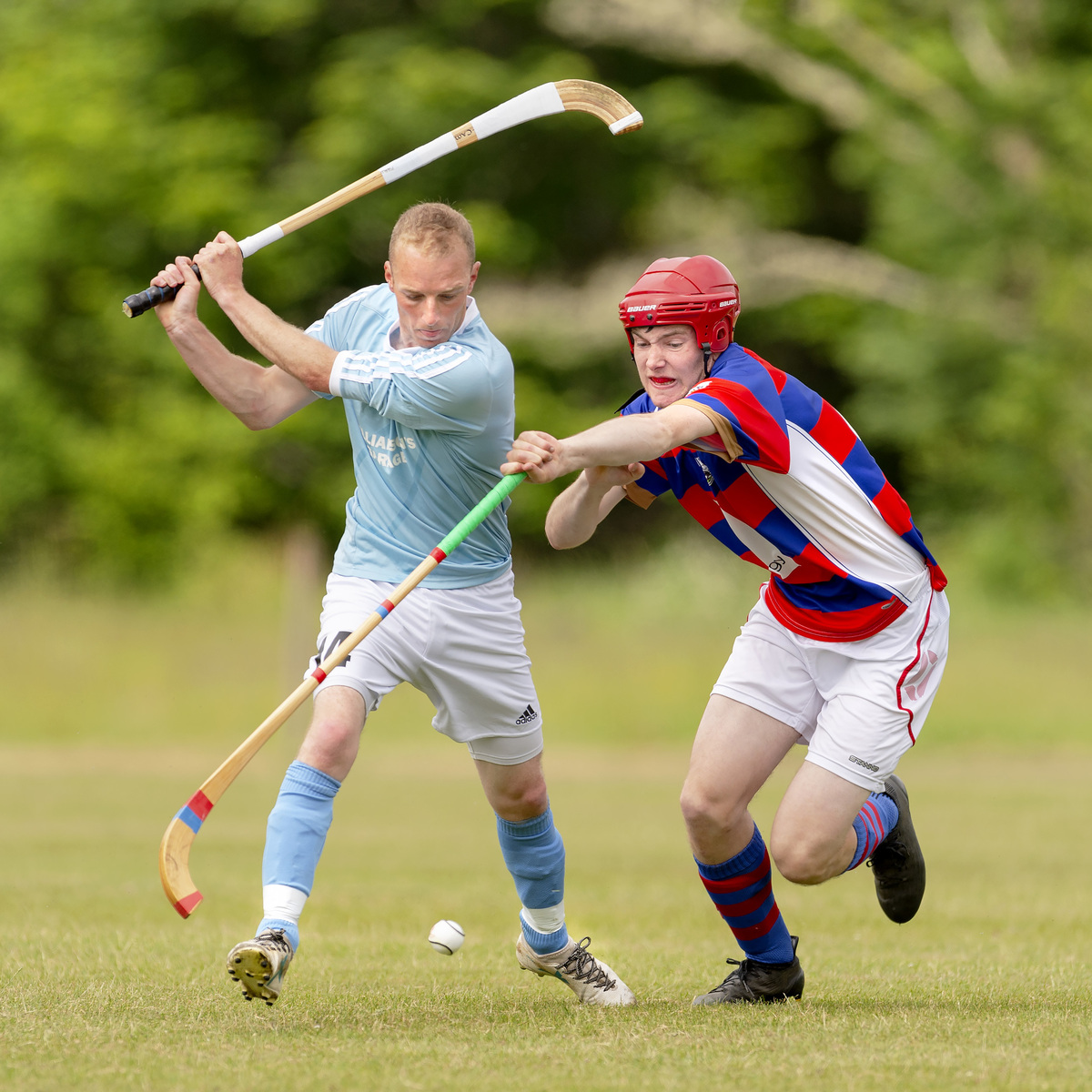 Shinty round-up