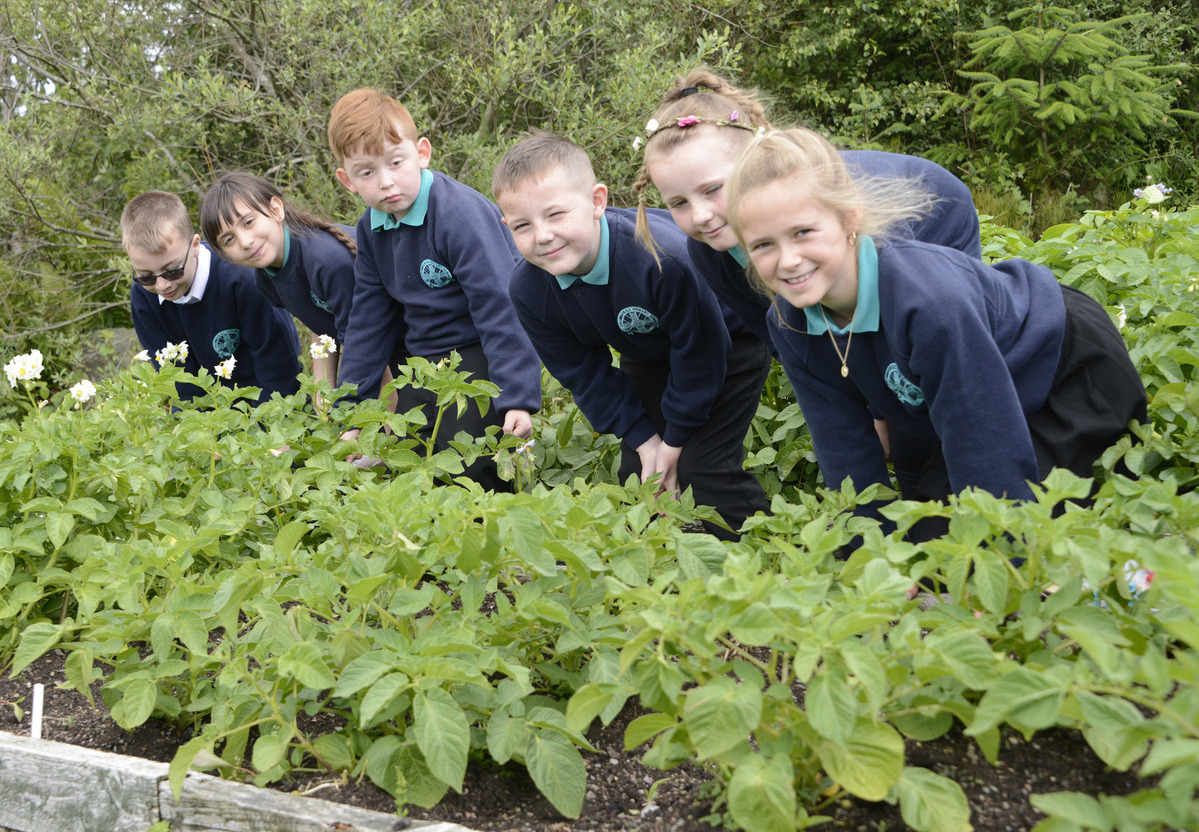 Youngsters check out their green-fingered skills