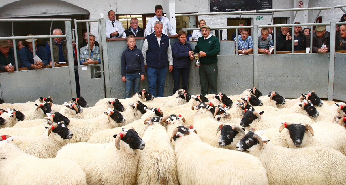 Achnaba blackie lambs win James Weir Trophy