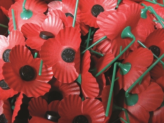 Remembrance Day information