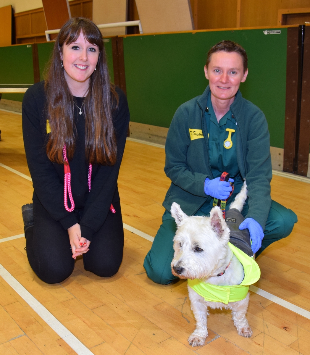 Free microchipping comes to Campbeltown