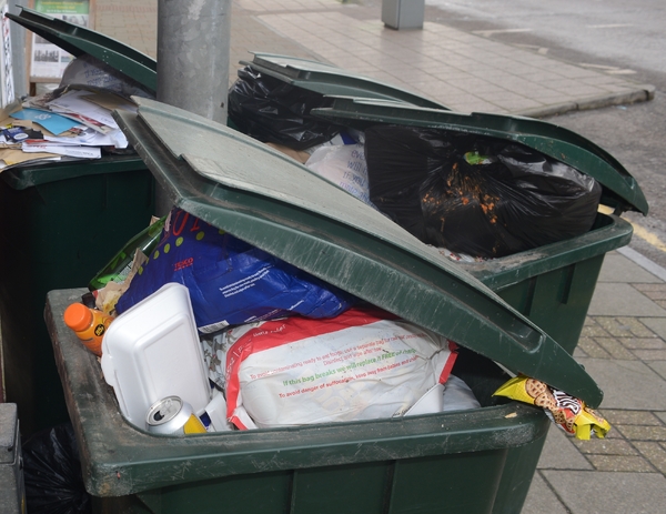 Check your festive bin collections