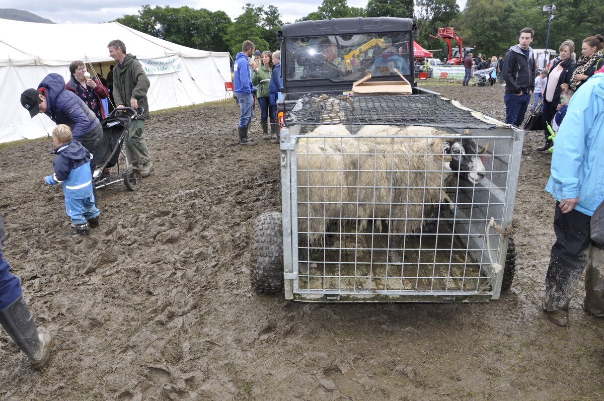 Muddy good day at Appin Agricultural Show