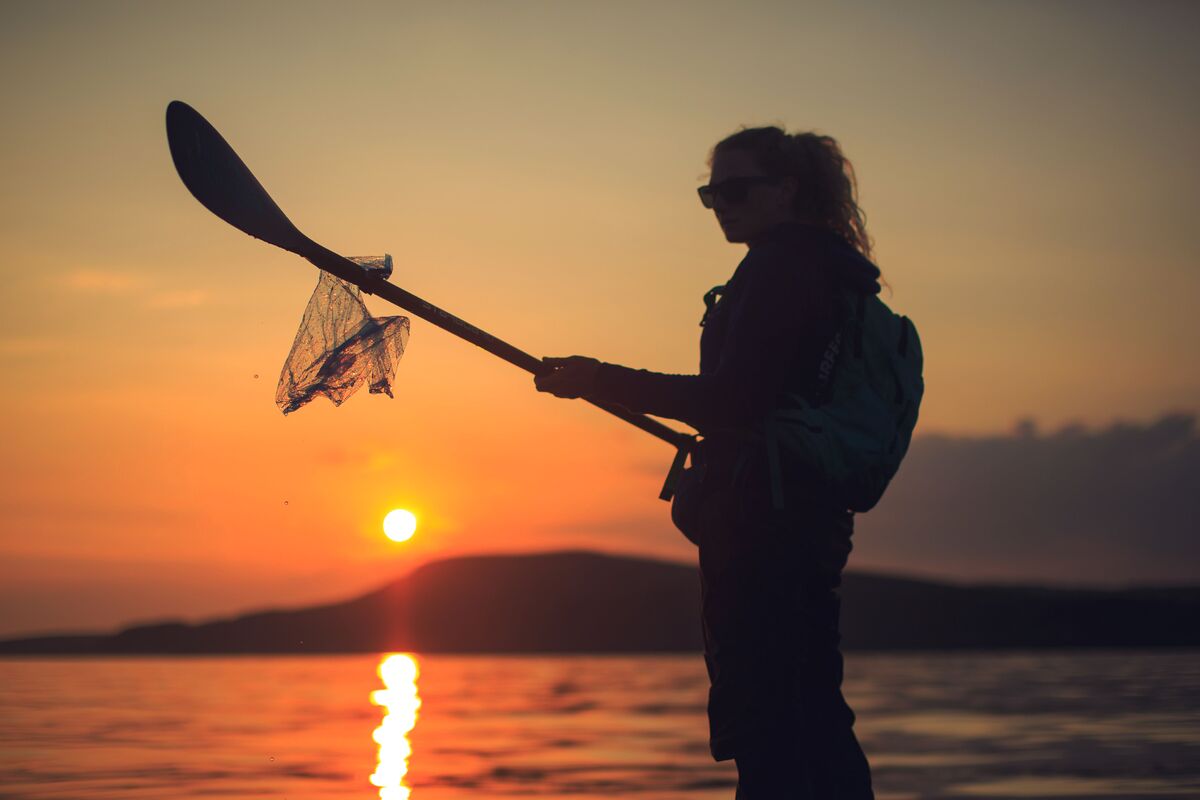 Cal recommends a healthy dose of Vitamin Sea