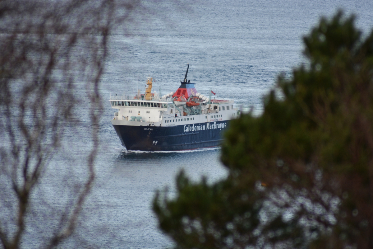 'People won’t come back to Mull': ferry crisis hits firms hard