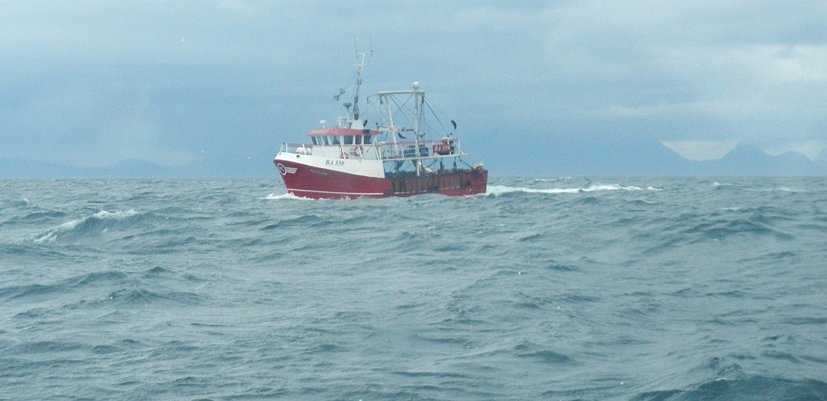 Mallaig sinks to bottom of Scottish fish landings table