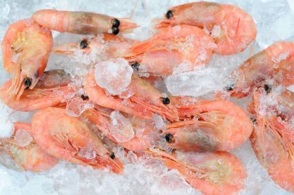 Fishing quotas hiked to help shellfish sector