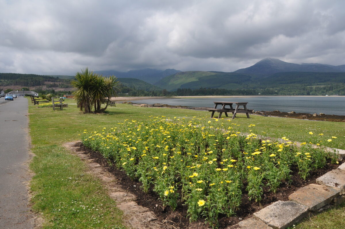 Brodick is back in bloom