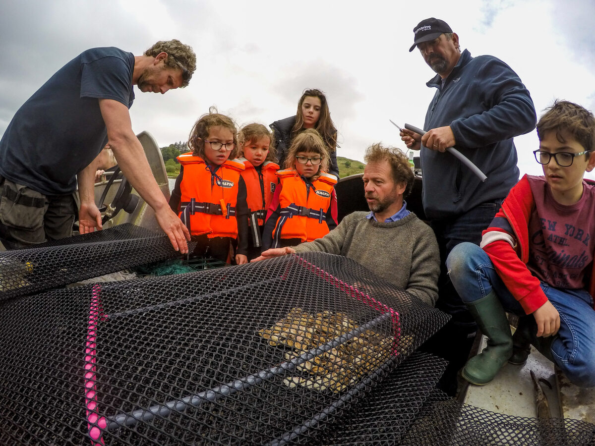 Pupils to help bring back native oysters to Loch Craignish