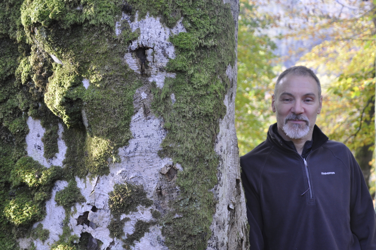 Final stage for Inverawe woodland transfer