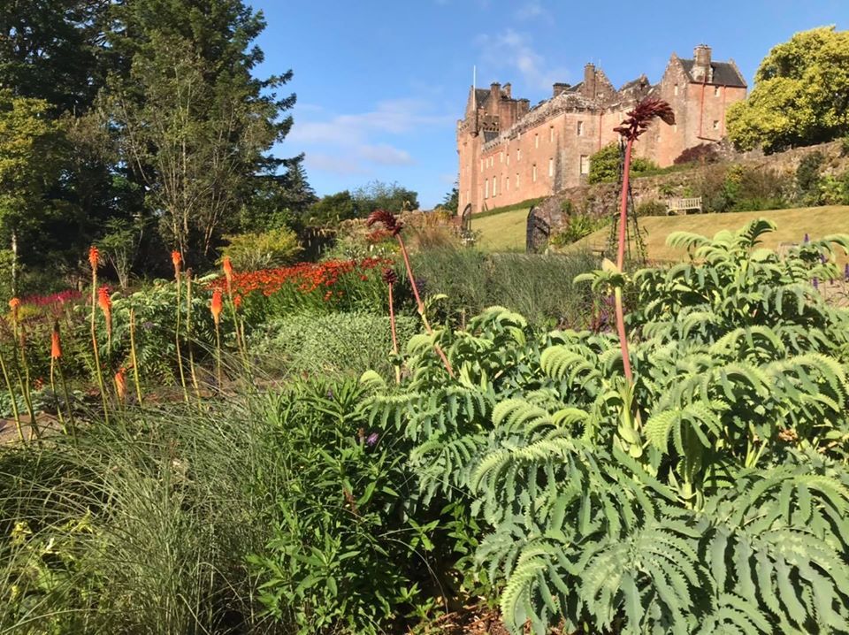 Plants to look out for at Brodick Castle gardens this August 