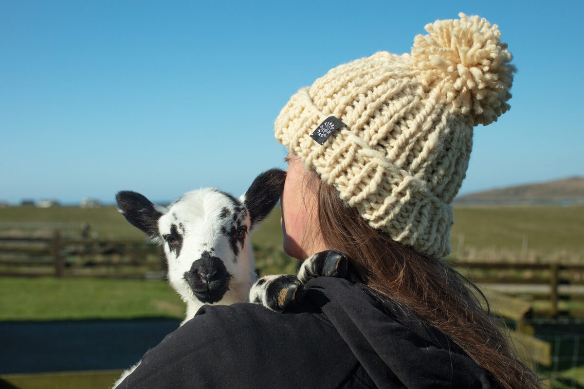Meet the flockers - and their woolly family