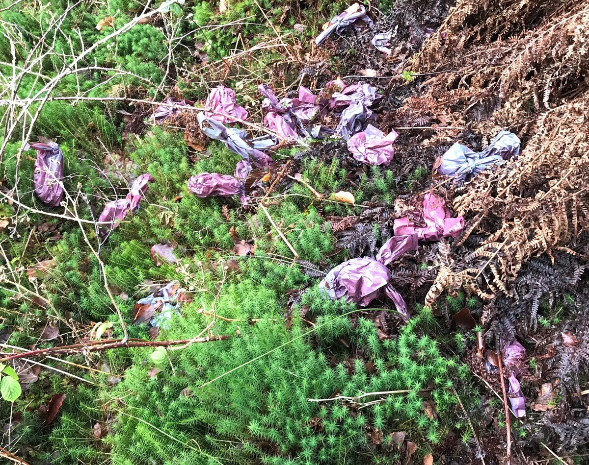 Dog walker dump uncovered on litter mission