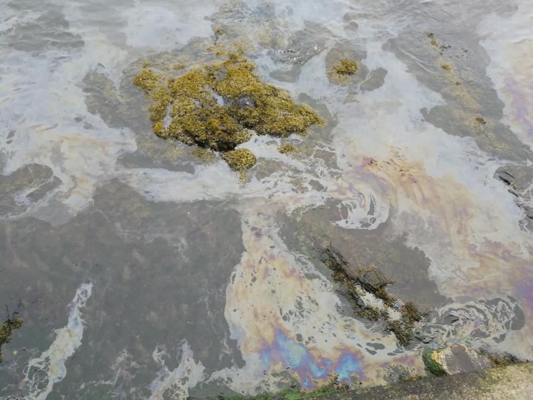 Investigations continue after second Oban oil spill