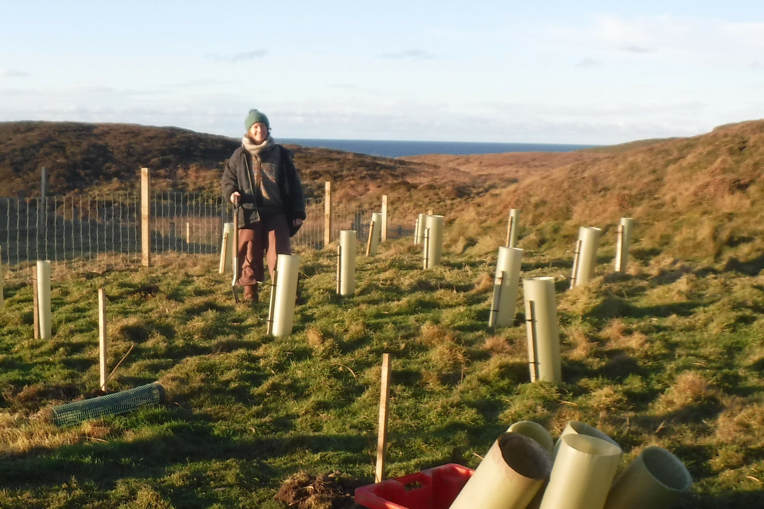 New entrants making most of community-owned island croft