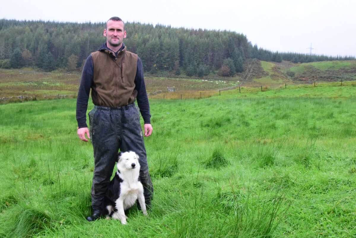 Eagle threat to Loch Fyneside farmers' future