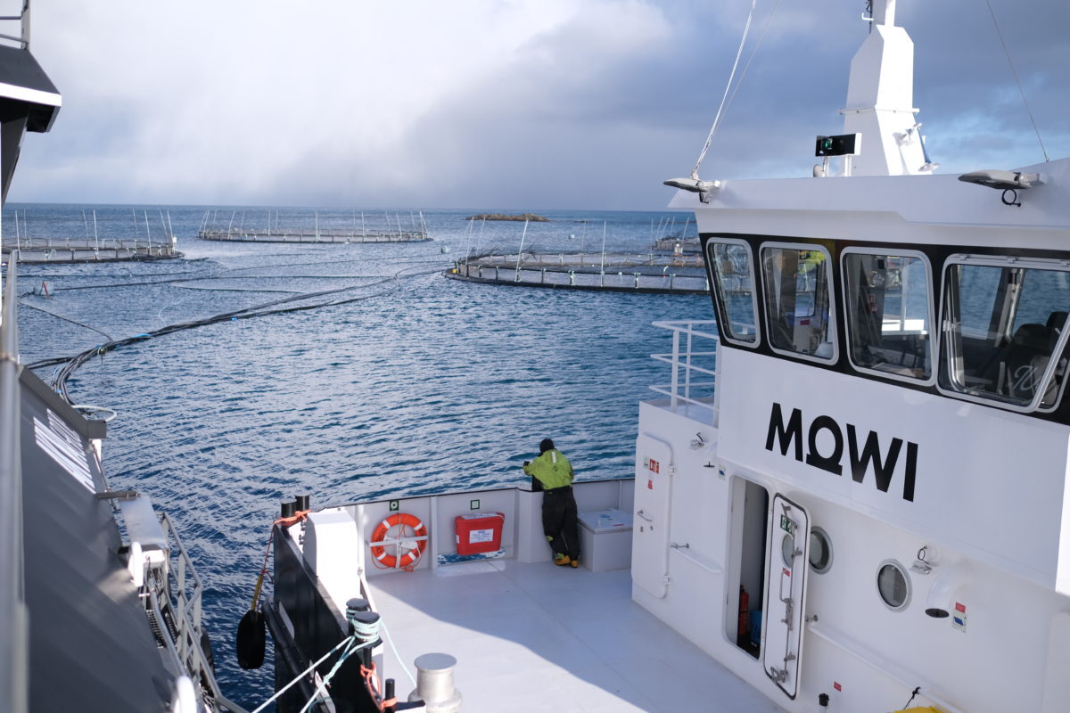 Mowi takes anti-salmon farming campaigner to court