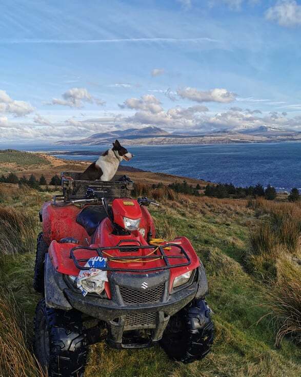 Farmers call time on rural crime as thieves strike again