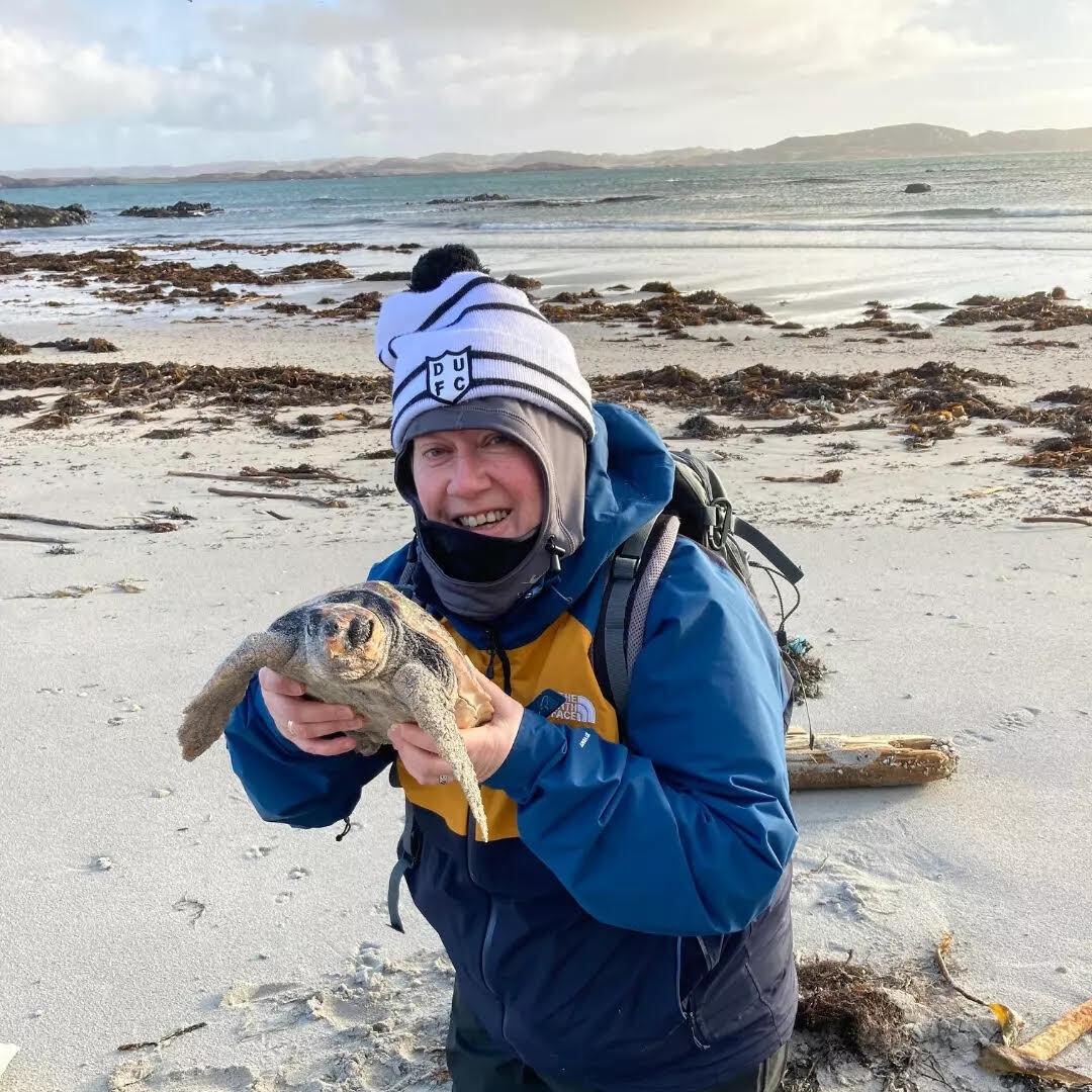 Flippers crossed for tropical turtle washed up on Iona