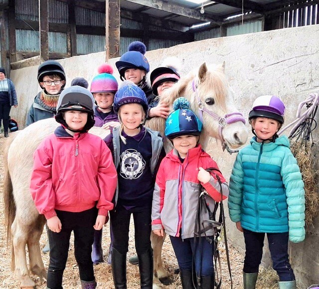 Club members saddle up for pony care coaching