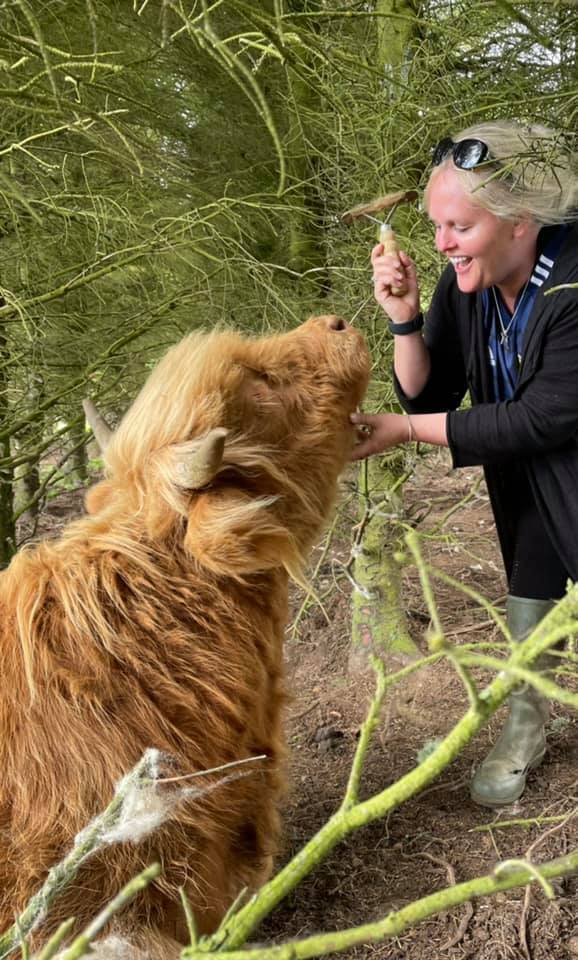 The Softer Crofter: A grooming beautiful day on the croft