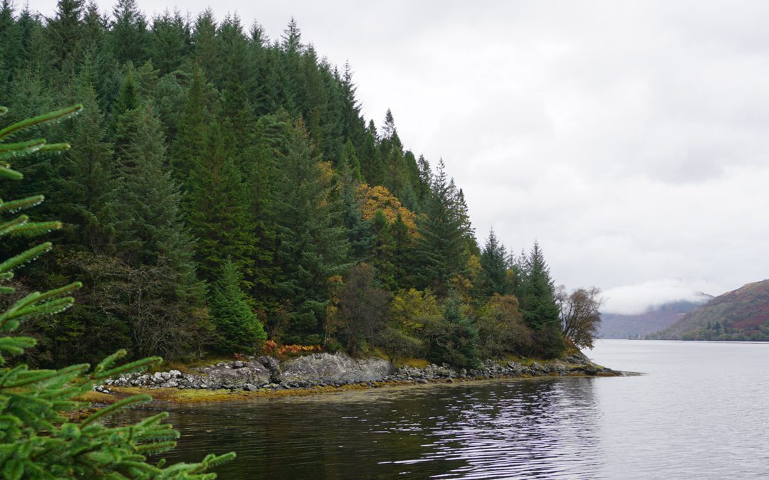 Loch Long salmon farm refused