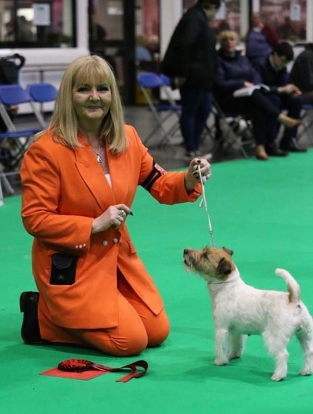 Lochaber dogs and owners relish return to Crufts after pandemic