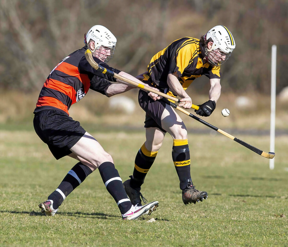 Covid call-offs disrupt shinty fixtures