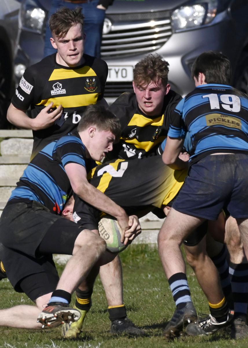 Youth teams show their mettle in regional semis