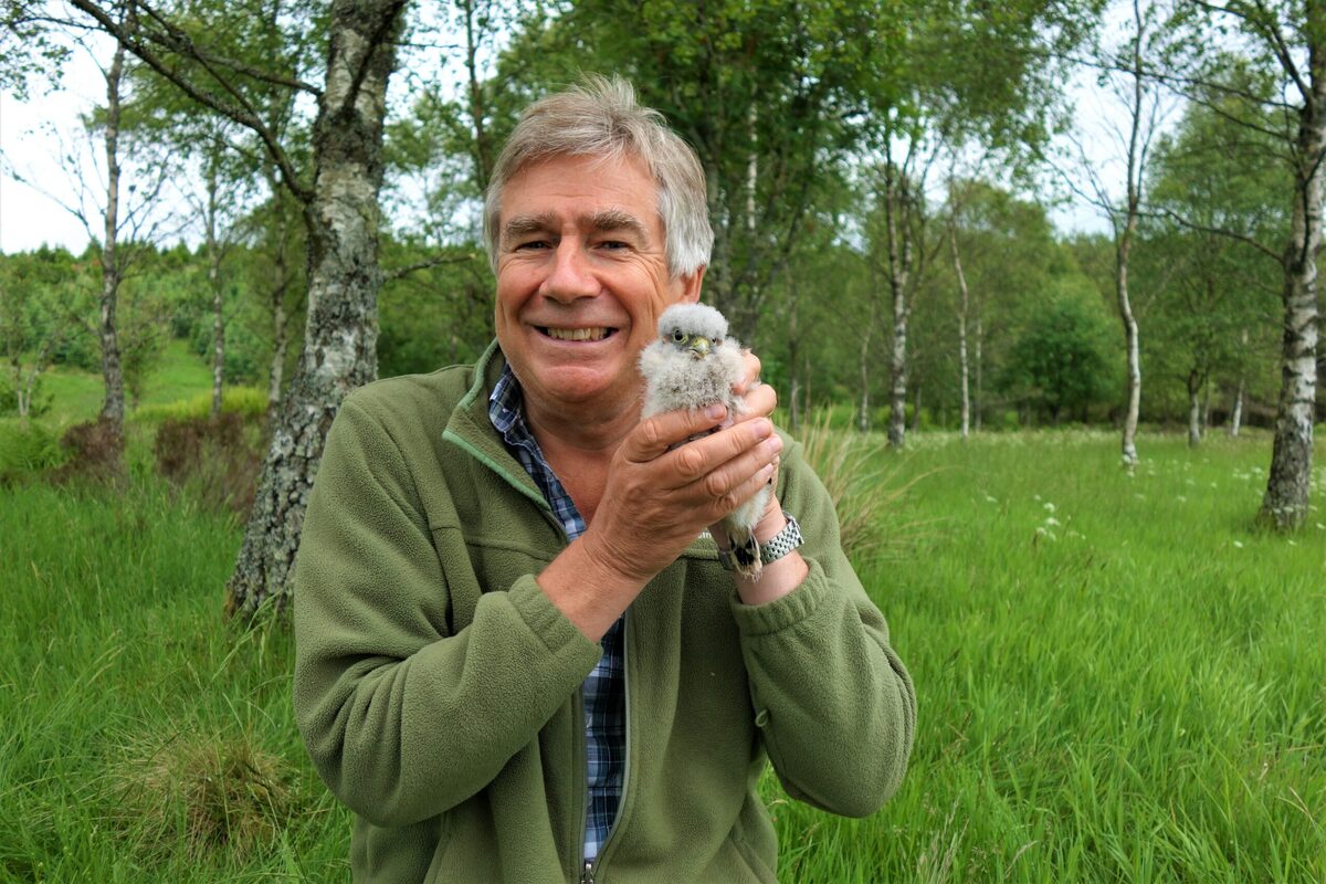 Mysterious cuckoos and close encounters in Appin