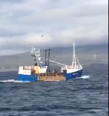 MSP urges higher illegal fishing fines