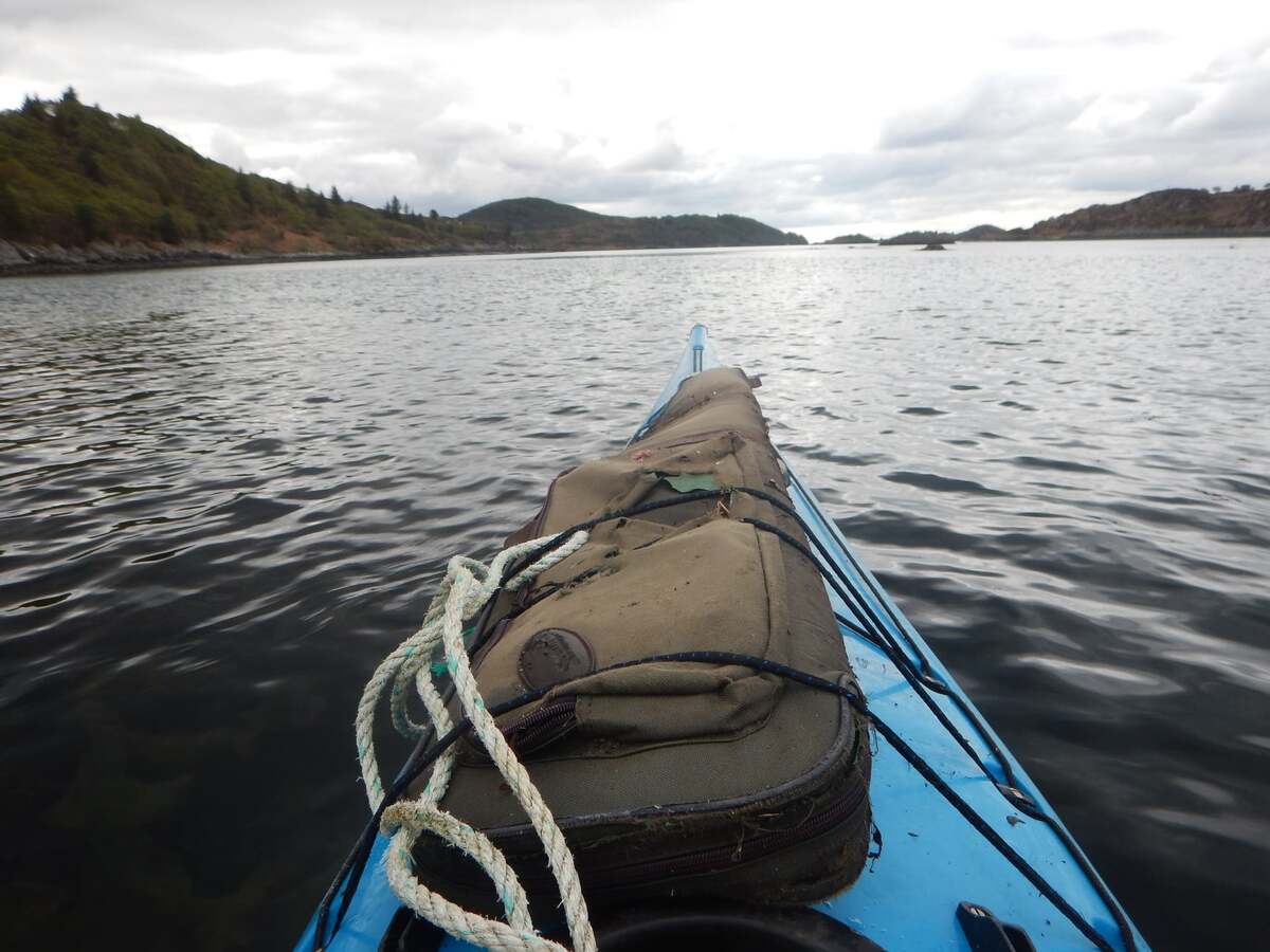 Rifling through beach litter triggers unusual find