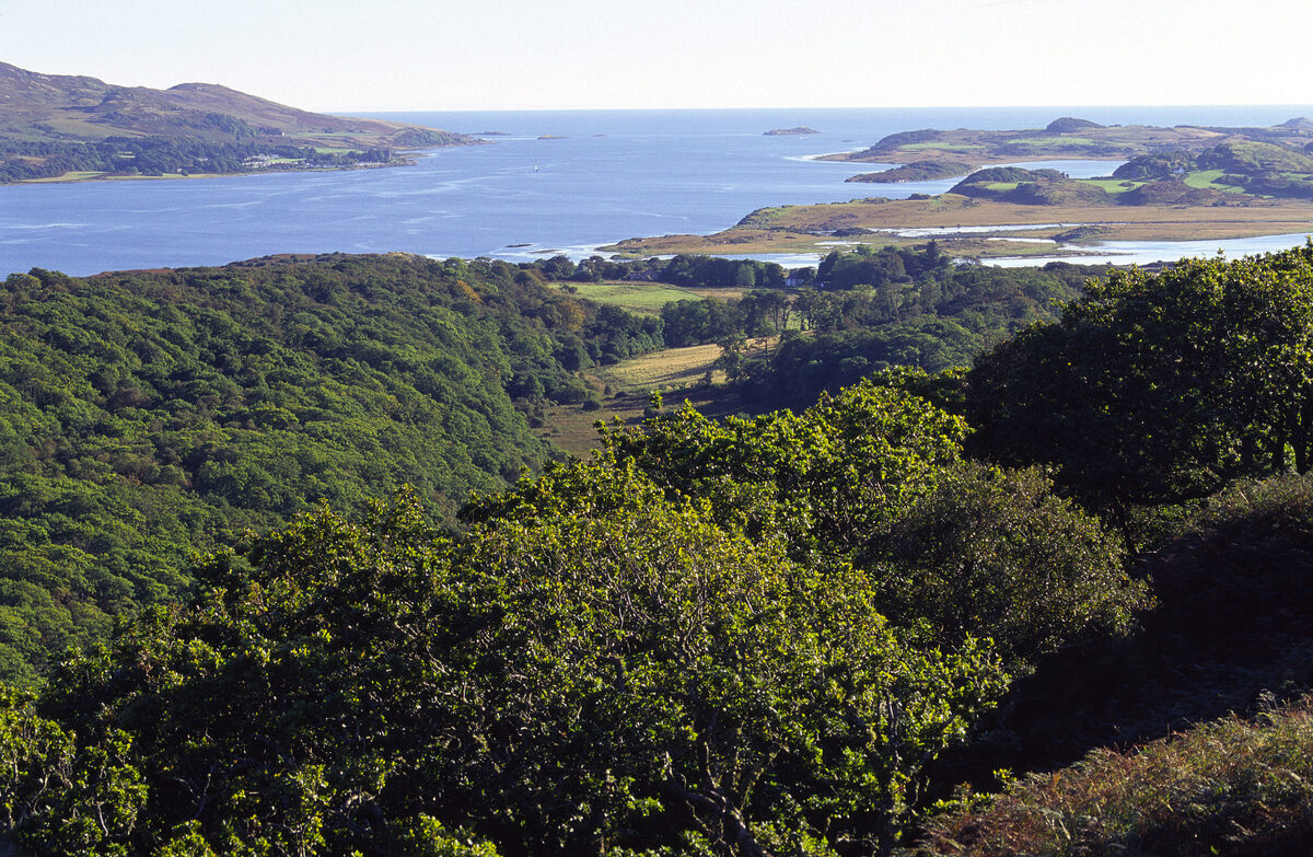 Consultation begins on national park status for Argyll's seascape