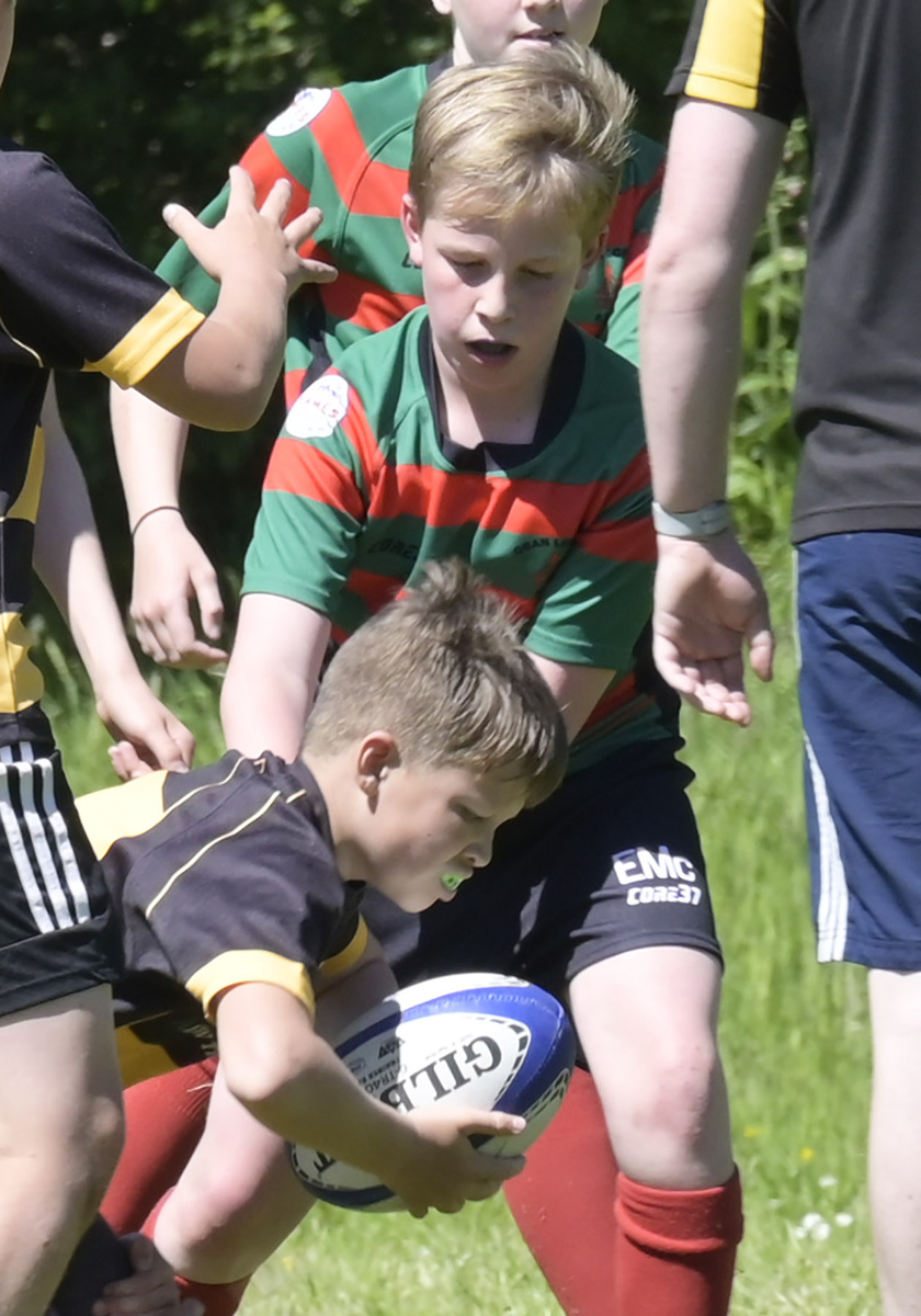West Coast Today - News - Young rugby players shine at Banavie tournament